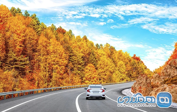 نتیجه گیری و برنامه ریزی استراتژیک
