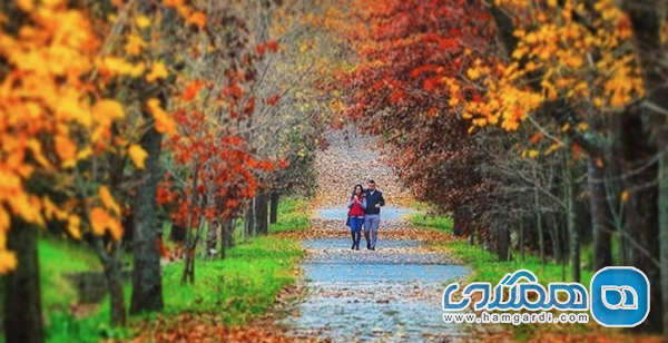 بررسی دقیق شرایط آب و هوایی استانبول در پاییز (مهر، آبان، آذر)