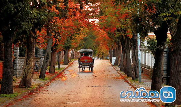 مقاصد طبیعت گردی پاییزی و جلوه های بصری شهر