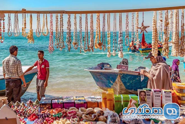 تحلیل روند قیمت ها: استراتژی رزرو برای جلوگیری از جهش آبان ۱۴۰۴