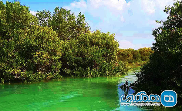 آب و هوای دلپذیر پاییزی قشم؛ آسایش پیش از ازدحام زمستانی