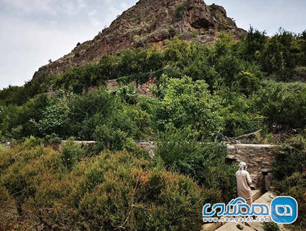 گشت و گذار در طبیعت کوهستان و دژهای تاریخی عمان