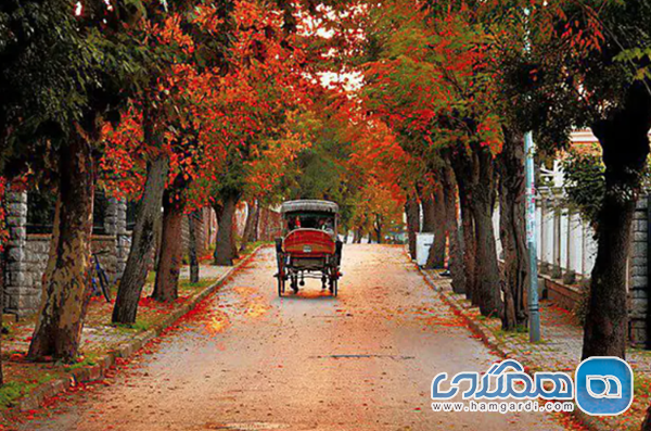 جزایر پرنس