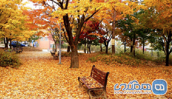 نتیجه گیری نهایی