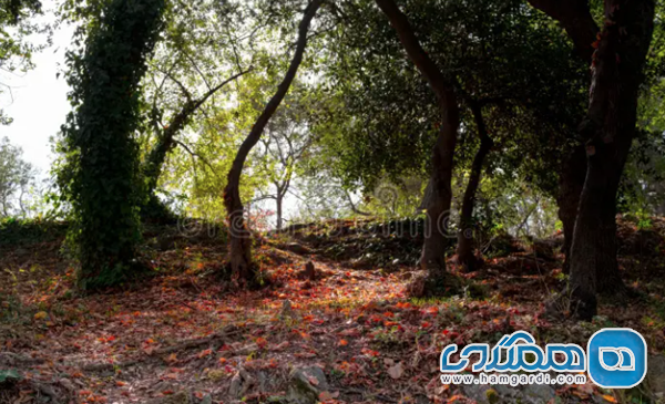 پارک امیرگان (Emirgan Park)