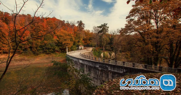 جنگل بلگراد (Belgrade Forest)