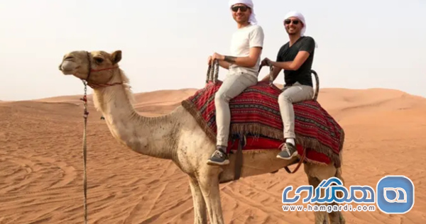 پیاده روی روی رمل ها و شترسواری؛ سنتی ترین تفریح کویری