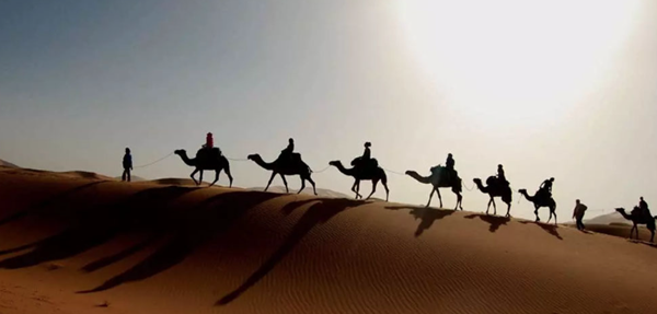 چرا مهر ۱۴۰۴ (پاییز) بهترین زمان برای کویرگردی در مصر است؟