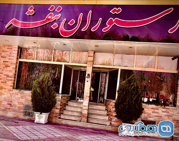 معرفی