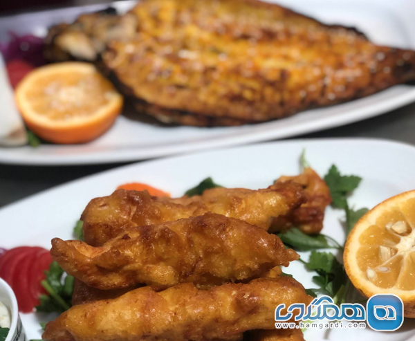 نقد و بررسی بخش غذاهای تلفیقی و خوراک