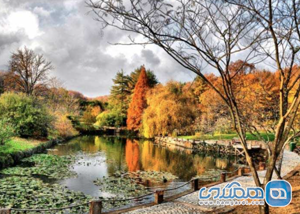 جاذبه های پاییزی