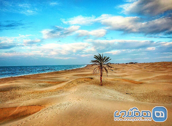 ساحل درک (تلاقی کویر و دریا)