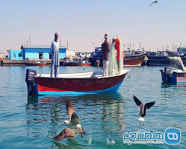 تحلیل خدمات آژانس های شاخص (فارا گشت، گردشگران شیراز، شیدرخ تراول)