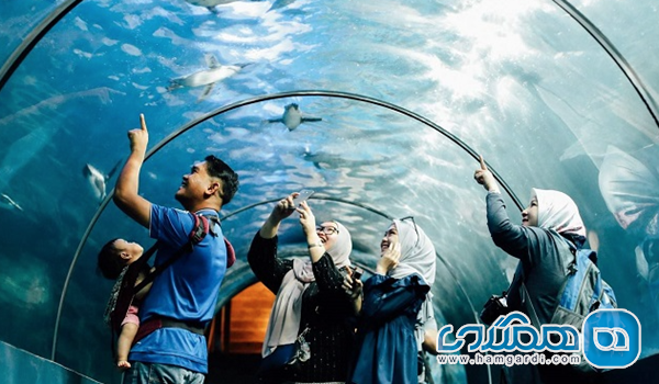 دنیای زیر آب لنکاوی (Underwater World Langkawi)
