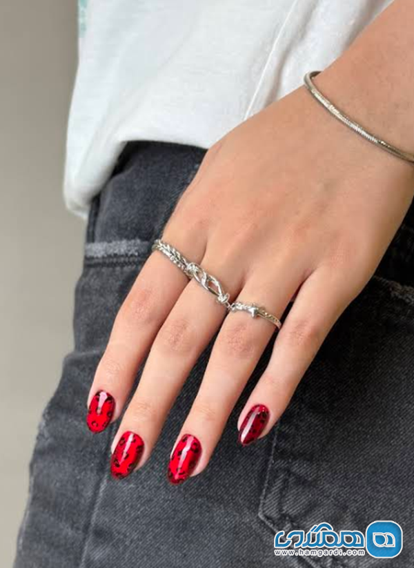 سالن های منتخب ناخن و خدمات فیشال