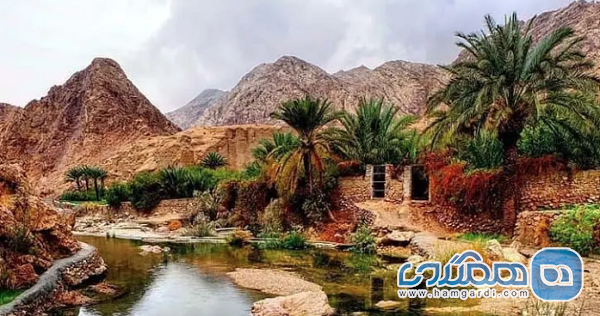 جایگاه طبس در نقشه گردشگری کویری ایران