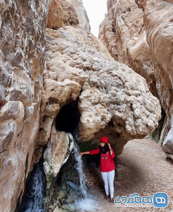 جمع بندی برترین پکیج ها و پیشنهادات