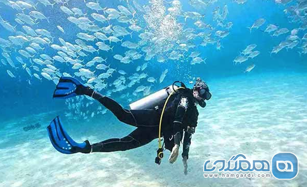 سواحل و فعالیت های آبی