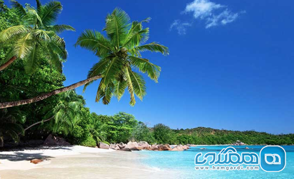 تحلیل ساختاری پکیج های لوکس تور سیشل 1404 و آژانس های برگزار کننده