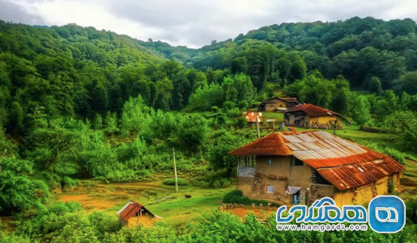 اقامتگاه های بومگردی: غوطه وری در طبیعت و فرهنگ غذایی گیلان