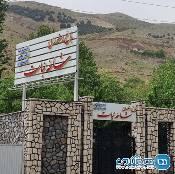 مدیریت تردد و پارکینگ: یک مزیت رقابتی پنهان