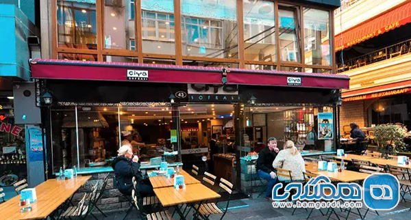 قدرت شبکه های اجتماعی در هدایت جستجوها: ترندهای سلبریتی محور و رشد ویروسی