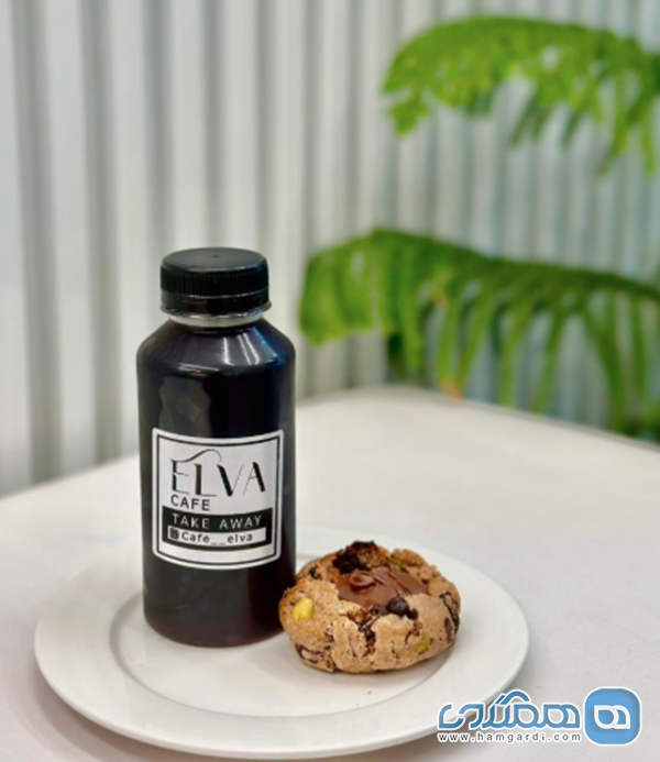 کافه الوا: محیطی برای کار، مطالعه و تعامل فرهنگی