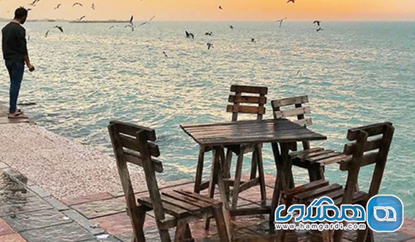 تحلیل پایداری: مسئله حریم ساحلی و قیمت گذاری گزاف