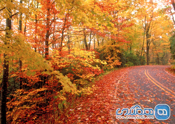 گیلان (ماسال، تالش)؛ جشنواره رنگ و مه