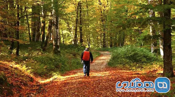 برنامه ریزی یک سفر پاییزی موفق در ۱۴۰۴ (نکات کاربردی)