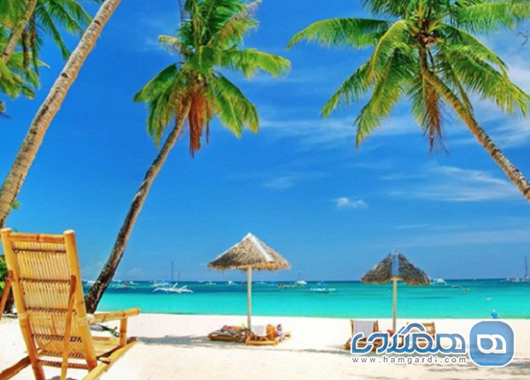 مقدمه: سفر به قلب گوا در طلایی ترین فصل سال