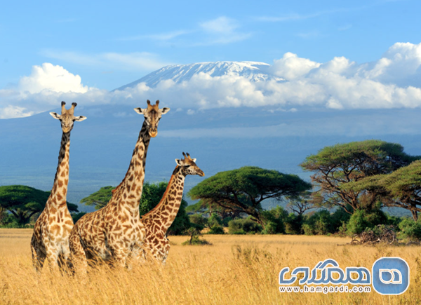 سفر به کنیا در پاییز ۱۴۰۴