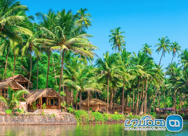 دلایل اقلیمی: آب و هوای ایده آل گوا در اواخر پاییز