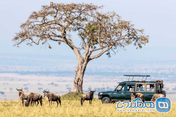 آبان (اکتبر / نوامبر): دوره سردرگمی مهاجرت و هوای گرم و خشک