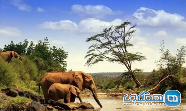 آذر (نوامبر / دسامبر): فصل "باران های کوتاه" و آغاز دوره زایش