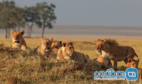 تور کنیا پاییز ۱۴۰۴