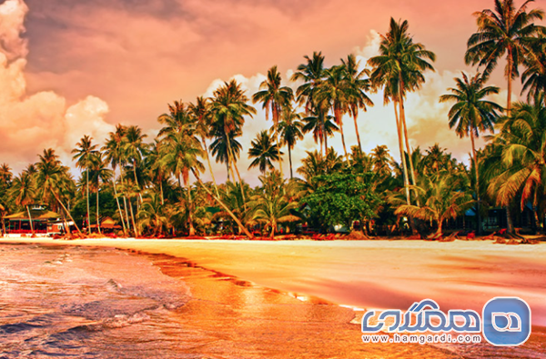 نتیجه گیری: تضمین یک سفر بی نقص در آبان و آذر ۱۴۰۴