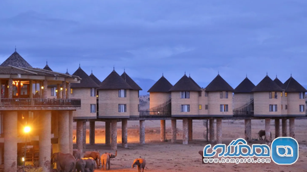 تحلیل نرخ پایه دلاری خدمات زمینی