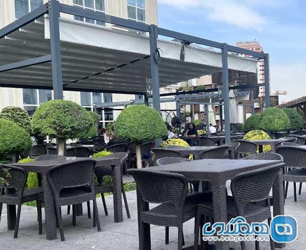 کافه ویونا (Viuna): ارگونومی و آرامش تضمین شده