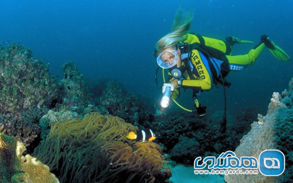 ورزش های آبی