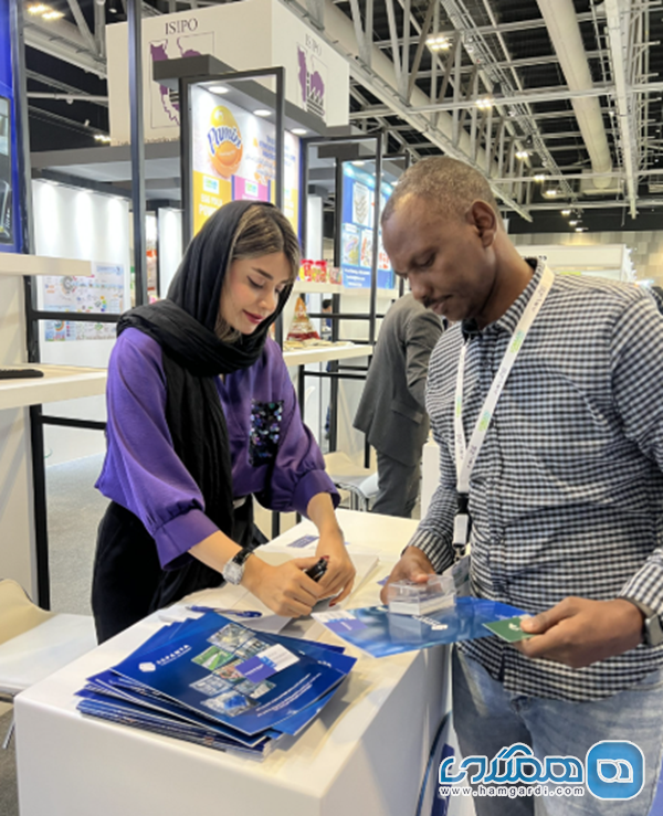 شبکه سازی تجاری و صادرات مجدد