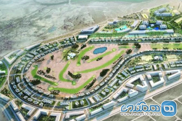 درک عمیق از بازار و مقررات عمان