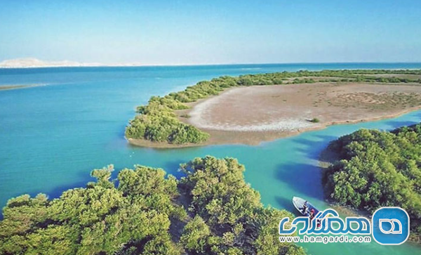 بومگردی های با تمرکز بر جنگل حرا و ساحل شمالی (طبل و سهیلی)