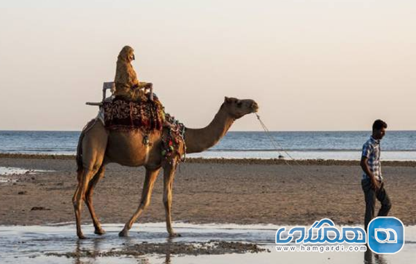 تفریحات آبی و فرهنگی سازمان یافته