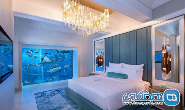 ماتریس خدمات پکیج: تحلیل اجزای حیاتی و خدمات ارزش افزوده