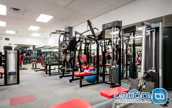 تحلیل معیارهای تخصصی انتخاب باشگاه های بانوان در سال ۱۴۰۴