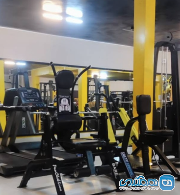 باشگاه بدنسازی فیت استایل (Fit Style)