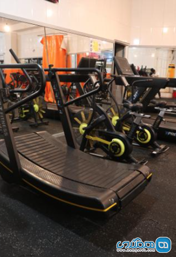 مجموعه ورزشی یاوران