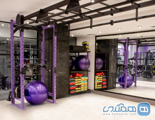 باشگاه ورزشی الیت (Elite): پیشگام در کیفیت تجهیزات و تغذیه رژیمی