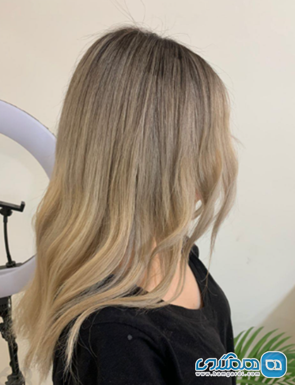 رنگ و لایت تخصصی شیراز ۱۴۰۴: معرفی بهترین کالریست های معالی آباد